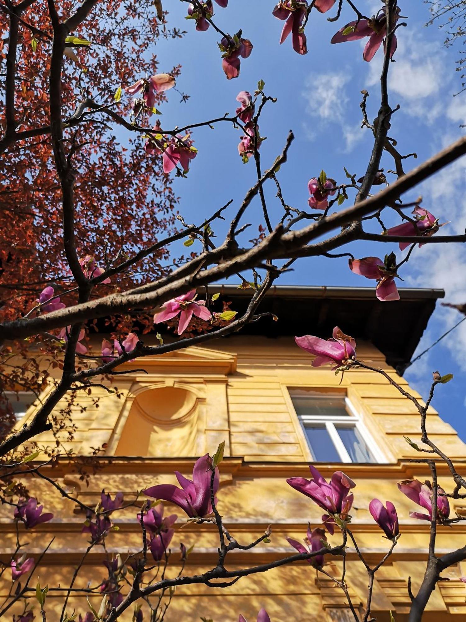 The Villa, Ljubljana City Center Екстериор снимка