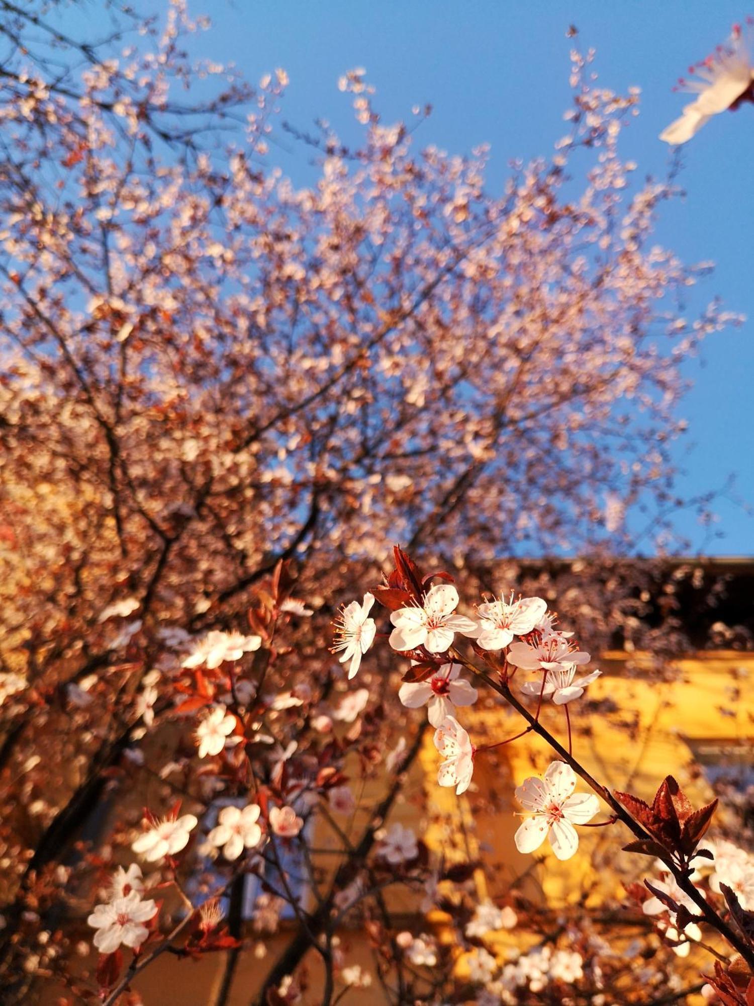 The Villa, Ljubljana City Center Екстериор снимка